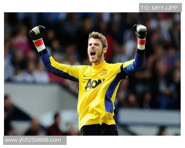 德赫亚：从青涩小将到足球明星的传奇旅程与辉煌成就