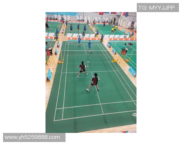 羽毛球战术排行榜揭晓杭州羽毛球队荣登第一名引发热议