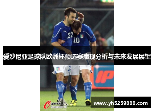 爱沙尼亚足球队欧洲杯预选赛表现分析与未来发展展望